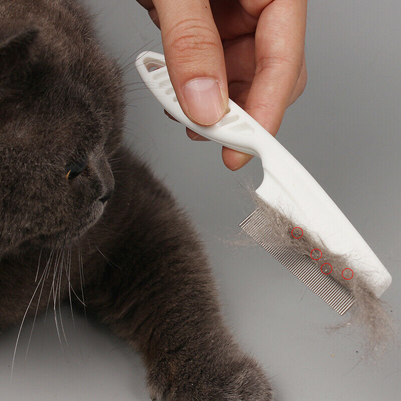 Peigne de toilettage démêlant pour animaux de compagnie